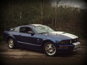 Blue Mustang24 EDIT